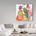 thumbnail image 3 of Trademark Fine Art 'Desert Rose II' Canvas Art by Kristy Rice, 3 of 3