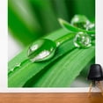 thumbnail image 5 of ADZif Fresk Pure Wall Mural, 5 of 5