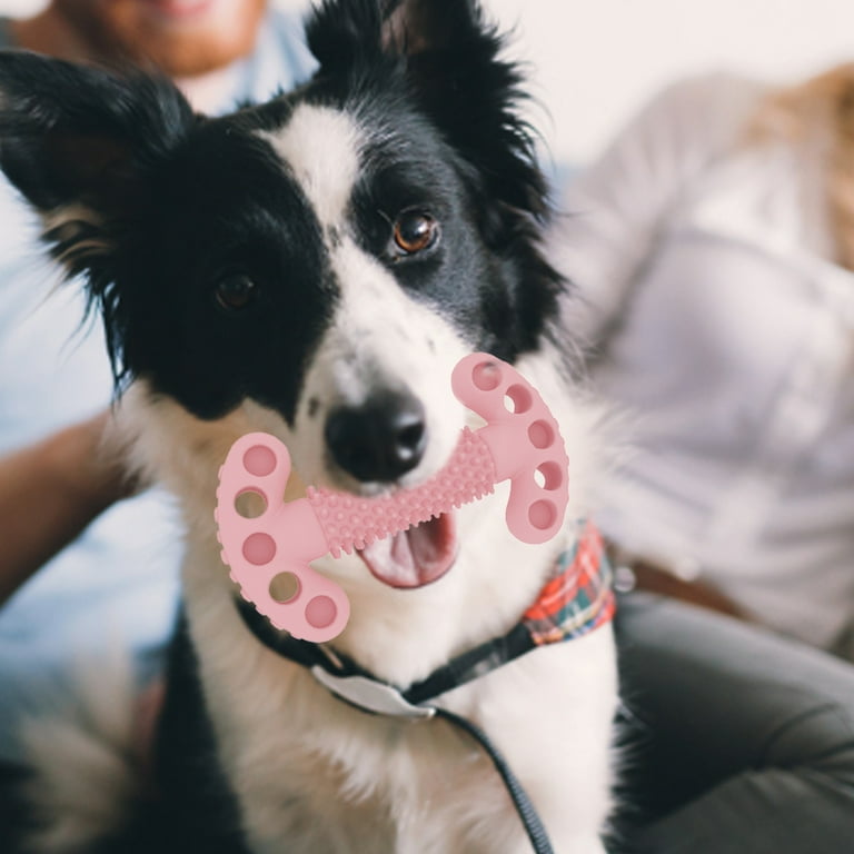 Dog Toothbrush Durable Chew Toy Stick Soft Rubber Teeth Cleaning Point Massage Toothpaste Pet Toothbrush Molar Pet Supplies Dog Bones for Aggressive Chewers Long Lasting Stocking for Dogs with Treats ...