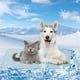 thumbnail image 5 of Tapete refrescante para mascotas, para perros y gatos, con tejido refrescante, lavable, para cama, sofá, asiento de coche, cómodo y transpirable., 5 of 9