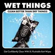 DUDE Wipes Odor Destroyer Flushable Wipes, XL Wet Wipes, Deodorizing with Clean Scent, 48 Count, 2 Pack