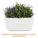 thumbnail image 3 of GOOHOCHY Para Plantas Con Autorriego Para Decorar Espacios Interiores Y Exteriores, 3 of 8