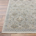 thumbnail image 4 of Livabliss x Becki Owens Ren Damask Washable Runner Area Rug ,2'7" x 7'3",Gray, 4 of 10