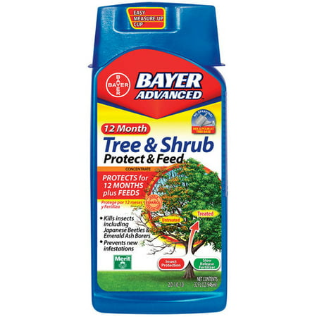 Bayer 12-Month Tree and Shrub Protect and Feed Concentrate