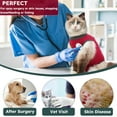 thumbnail image 4 of Tingzi Cat Recovery Suit for Abdominal Wounds,Cat Onesie for Cats After Surgery Cone of Shame Alternative Surgical Spay Suit for Female Cat, 4 of 7