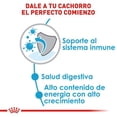 thumbnail image 2 of Alimento Croqueta Perro Royal Canin Medium Pupp 13.6kg493831 Royal Canin Alimento Croquetas para Perro, 2 of 2