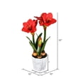 thumbnail image 2 of Vickerman 22" Arrangement Floral Artificiel en Plastique Amaryllis en Rouge, 2 of 2