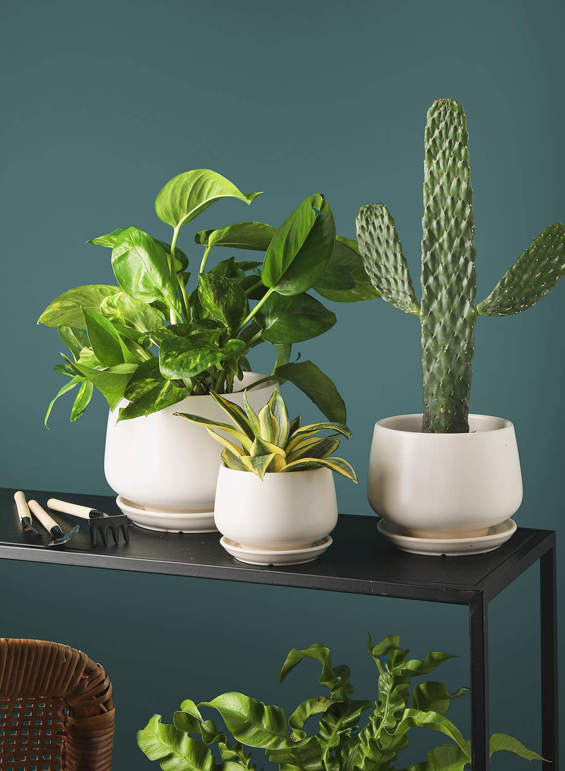 BEMAY Set of 3 Ceramic Plant Pots, 4.1" 5.1" 6.5" Indoor Planters with Drainage Hole and Saucer, White Round Flower Pots (Plants Not Included)