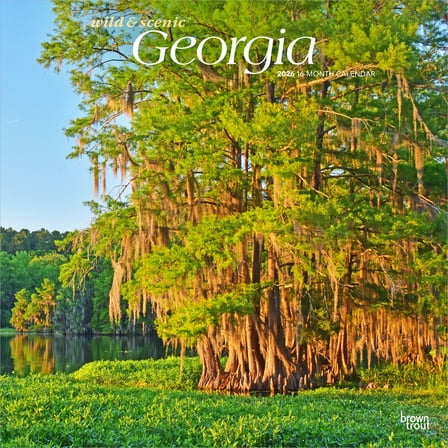 Georgia Wild & Scenic | 2026 12x24" (Hanging) Wall Calendar | Plastic-Free