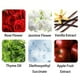 thumbnail image 5 of perfumes for women para caballero Exotic Rose Scented Perfume For Women, perfumes for women To Attract Men, Perfume Colognes , Unique Scent，easy To Carry, Unleash Your Alluring Charm 15ml, 5 of 8