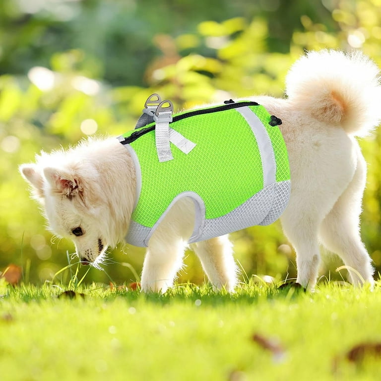 Best Dog Cooling Vest Dogs Cooling Vest, Evaporation Cooler Jacket