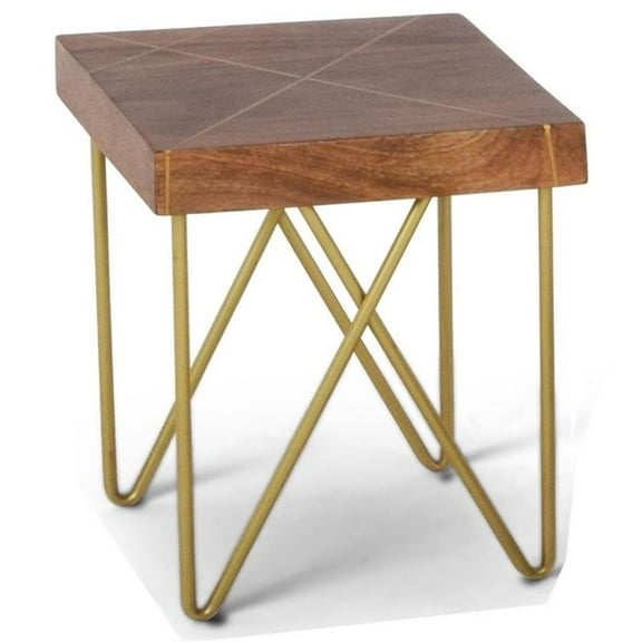Bowery Hill Modern 22" Square End Table in Warm Brown Pine and Brass