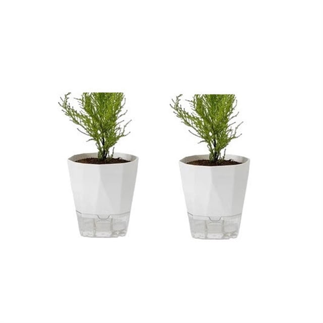 Macetas sin riego Macetas autoabsorbentes Macetas suculentas de orquídeas de balcón de plástico