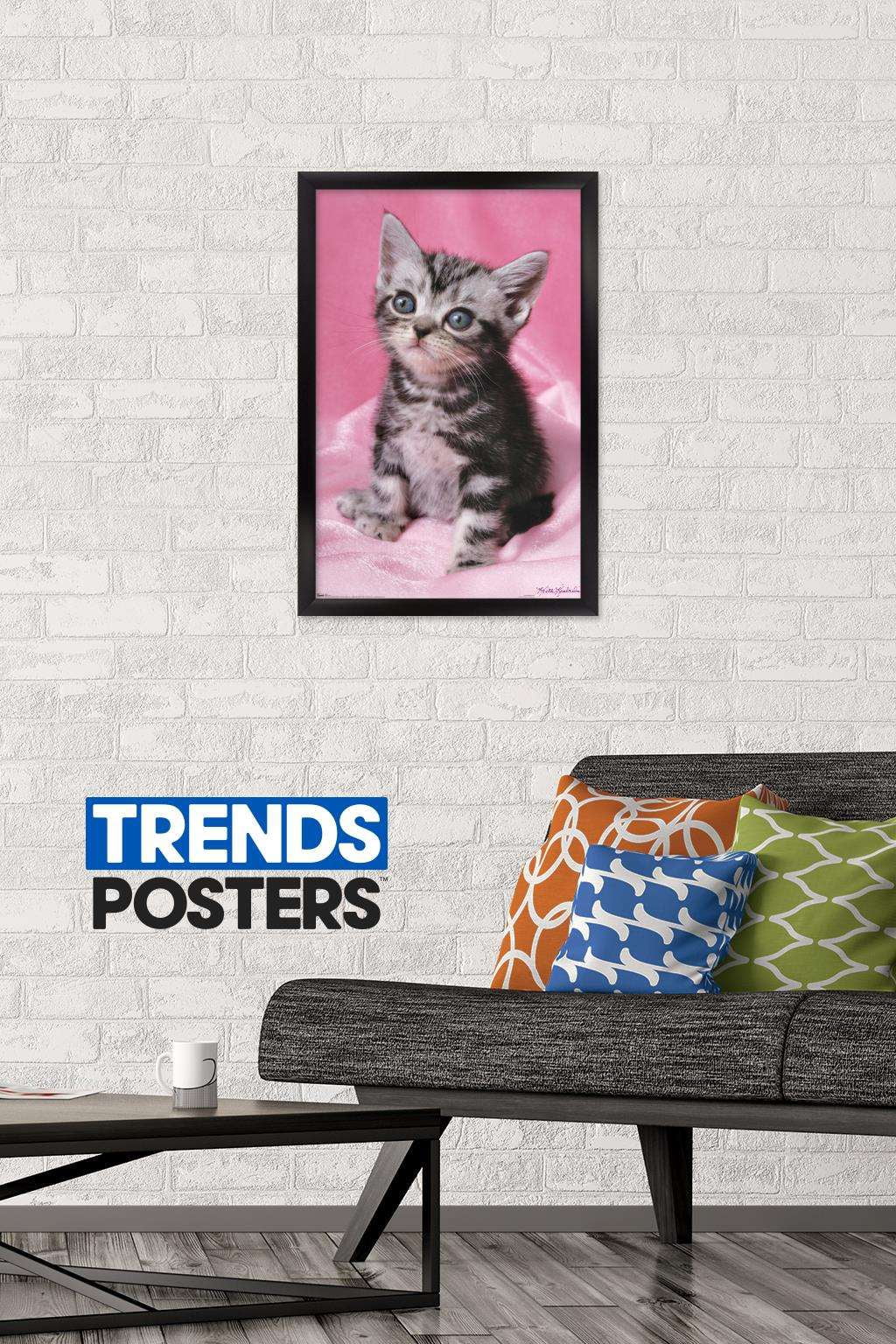 Keith Kimberlin - Kitten - Cute Wall Poster, 14.725" x 22.375", Framed