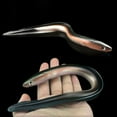 thumbnail image 2 of Soft Eel Fishing Lure Baits Reflective Fish Tool Outdoors Life-like Accessory, 2 of 6