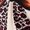 F243-Beige, variant on FYDUU Girls Summer Outfits Set Fashion Leopard Print Bow Short Sleeve T-Shirt Tops And Baggy Pants Two Piece Sets Back To School Clothes 3-4 Years