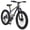 Grey, variant on 24" Fat Tire Bike for Adults with Front Suspension,SHIMANO 7 Speed Mountain Trail Bike,Red
