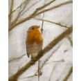 thumbnail image 2 of Kimberly, Allen 15x18 White Modern Wood Framed Museum Art Print Titled - Bird on a Branch 1, 2 of 4