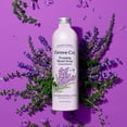 Grove Co. Foaming Hand Soap Refill, 100 Natural Lavender & Thyme Fragrance, 12oz
