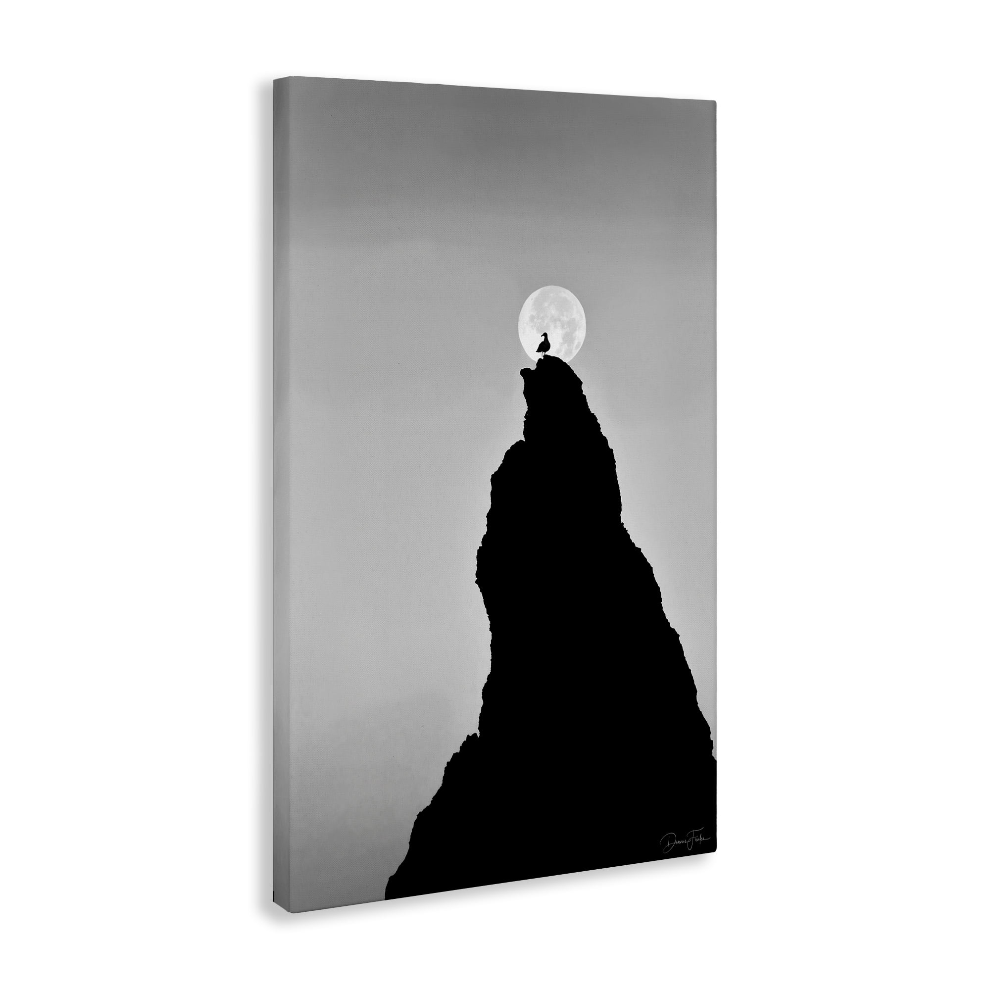 Stupell Industries Bird Silhouette on Peak Landscape Photography Gallery Wrapped Canvas Art Print Wall Art, 30 x 45