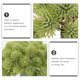 thumbnail image 5 of unbranded 5Ud De Plantas Artificiales Para Natural En Interiores, 5 of 6