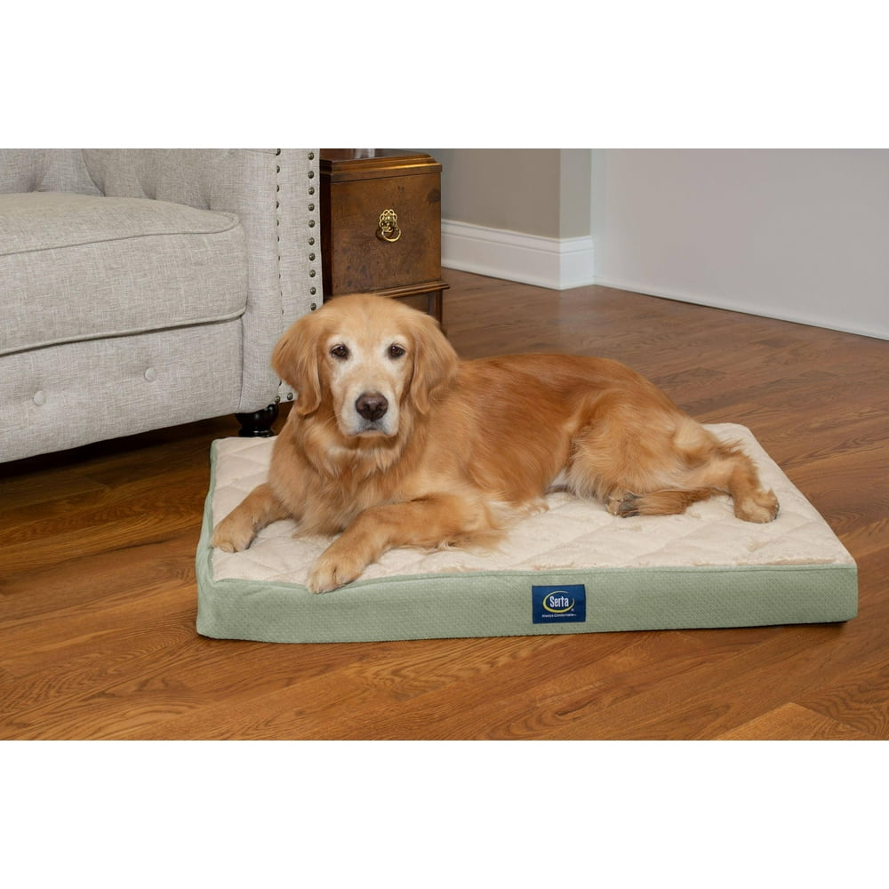 serta quilted pillow top dog bed