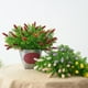 thumbnail image 4 of Gwong Decoración hogareña 1 UNID Artificial Americano Berry Flower Simulación Planta Accesorio de pared Decoración del hogar Gwong 21051592, 4 of 7