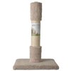 Image thumbnail_image