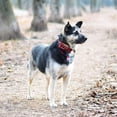 thumbnail image 4 of Pet Collar Pet Cat Dog Adjustable Nylon Collar Personalized Collars for Your Pets Size S, 4 of 8