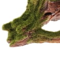 thumbnail image 3 of Aquarium Natural Wood Tree Plant Stump Fish Tank Ornament Decor 1, 3 of 8