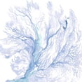 thumbnail image 2 of Parker, Jennifer Paxton 26x26 Black Ornate Wood Framed with Double Matting Museum Art Print Titled - Navy Sea Fan II, 2 of 4