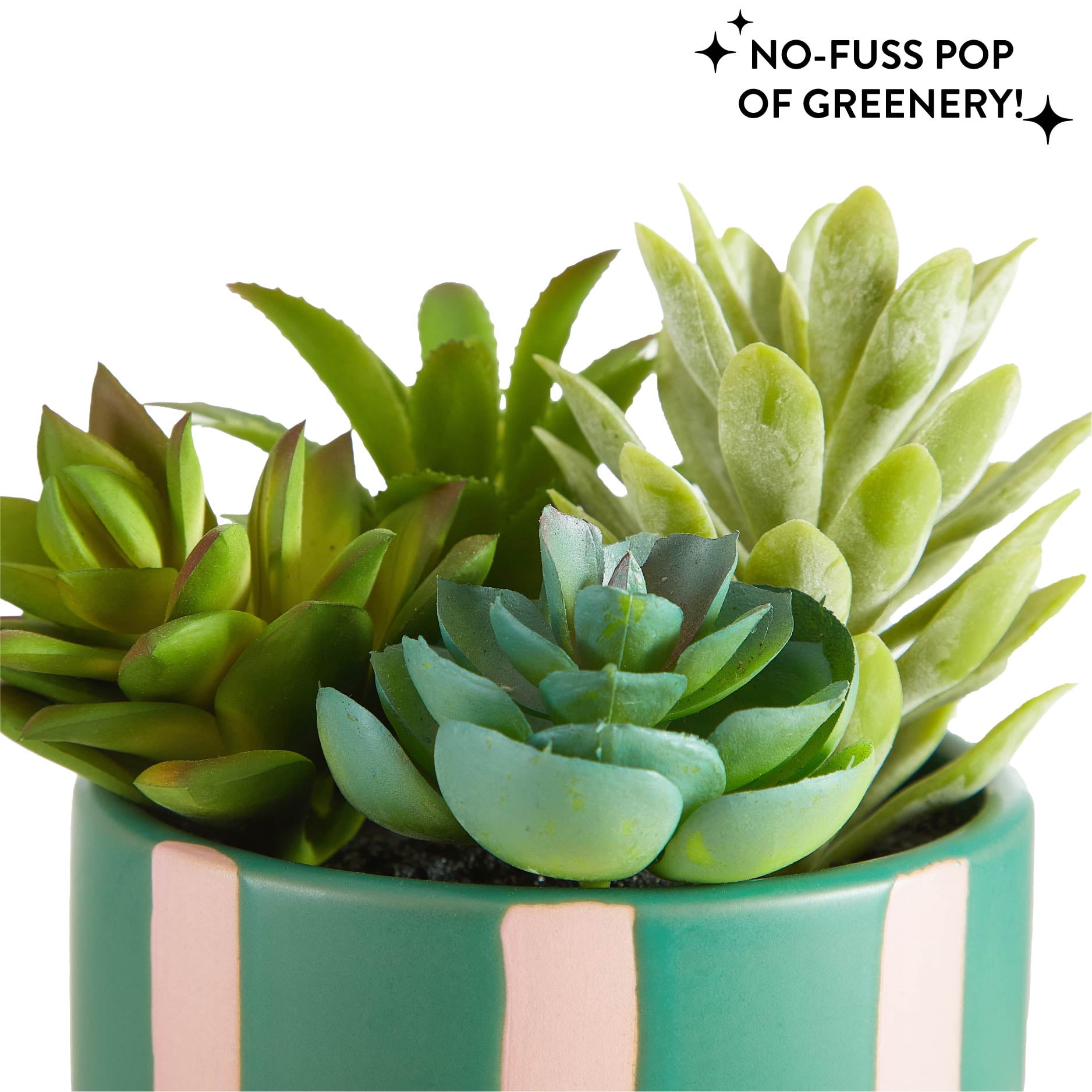 Mainstays Green and Pink Striped Ceramic Jar with Faux Succulent