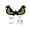 D, variant on Halloween Eyes Lights, Large Wooden Window Eye Lights with 7 Color Modes and USB or Battery Operation for Home, Wall, Window, and Tree Decorations