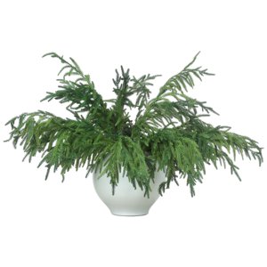 12 Pcs Christmas Norfolk Pine Branches Norfolk Pine Artificial Christmas Branches DIY Crafts Faux Christmas Norfolk Pine Branches