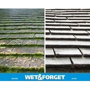 Wet & Forget Moss, Mold, Mildew, Algae Stain Remover Multi-Surface Outdoor Cleaner Concentrate, Original, 128 Fluid Ounces