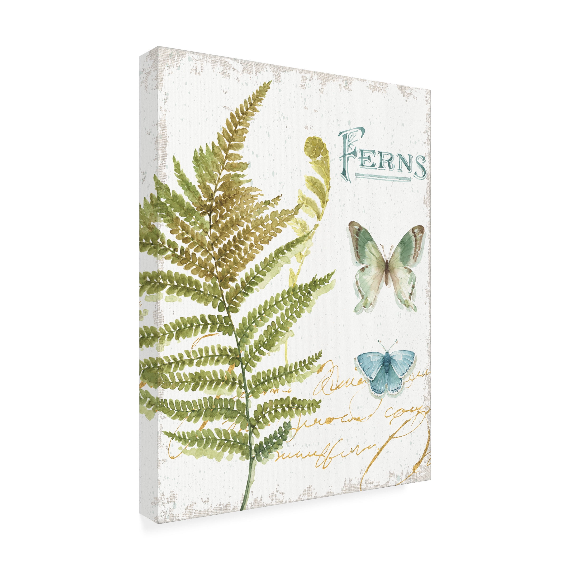 Trademark Fine Art "My Greenhouse Botanical III" Canvas Art by Lisa Audit