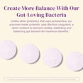 thumbnail image 3 of (2 pack) Barimelts Bariatric Probiotics for Digestive Health Support, 60 Fast-Dissolving Tablets, Post Weight Loss Surgery Patients, Cherry Flavored Dietary Supplements, 3 of 8