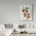 thumbnail image 3 of Trademark Fine Art 'Market Vegetables IV on Wood' Canvas Art by Silvia Vassileva, 3 of 3