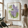 thumbnail image 3 of Butterfly and Lilac - Glen Rock Pennsylvania Drawing Floral Botanical Nature Unframed Wall Art Print 5 x 7 inches, 3 of 16