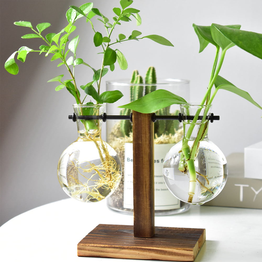 Hydroponic Plant Vases Flower Pot Wooden Frame Transparent Vase Tabletop Planter 