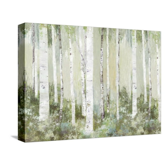 Art.com Tranquil Forest Stretched Canvas Print Wall Art by Allison Pearce, 16" x 12"
