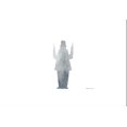 thumbnail image 1 of Le Duel, une Histoire de Paix, 1 of 4