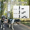 thumbnail image 5 of LmnLft Triple Bungee Leash - 1st Step Training Tool, Triple Bungee Dog Leash Padded Handles, Tangle Free Shock Absorbing Rope 360° Swivel for Small/Medium/Large Dogs, 5 of 8