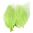thumbnail image 1 of veasfak 4- 50Pcs Natural Catbrier Skeleton Leaf Leaves Card Scrapbook - Green 4 Pcs, 1 of 9
