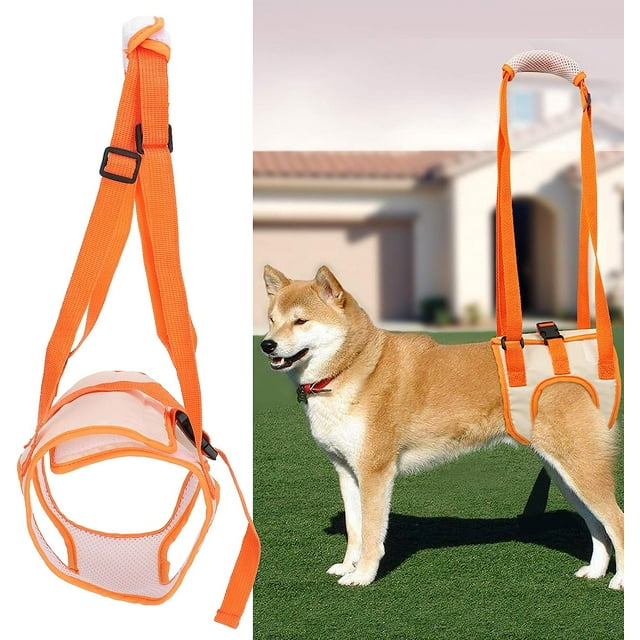 Arnés de elevación para perros, cinturón de soporte de malla para patas traseras de perro, elevación para perros discapacitados Ayuda, ayuda a lesiones por mala estabilidad (XL)