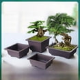 thumbnail image 1 of Maceta cuadrada rectangular de imitación de arcilla morada, maceta carnosa, maceta para bonsái, maceta pequeña de plástico en maceta, 1 of 5