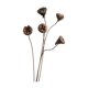 thumbnail image 5 of Flores secas para jarrón, arreglo floral de bricolaje, accesorio de fotografía, centro de mesa de plantas secas para granja, decoración de dormitorio Estilo G, 5 of 8