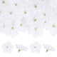 thumbnail image 1 of Uxcell 50-Pack Cabezas de Flores de Orquídea Artificial, 2.17"/ 5.5cm Flores de Orquídea Falsas de Seda para Manualidades DIY, Blancas, 1 of 1