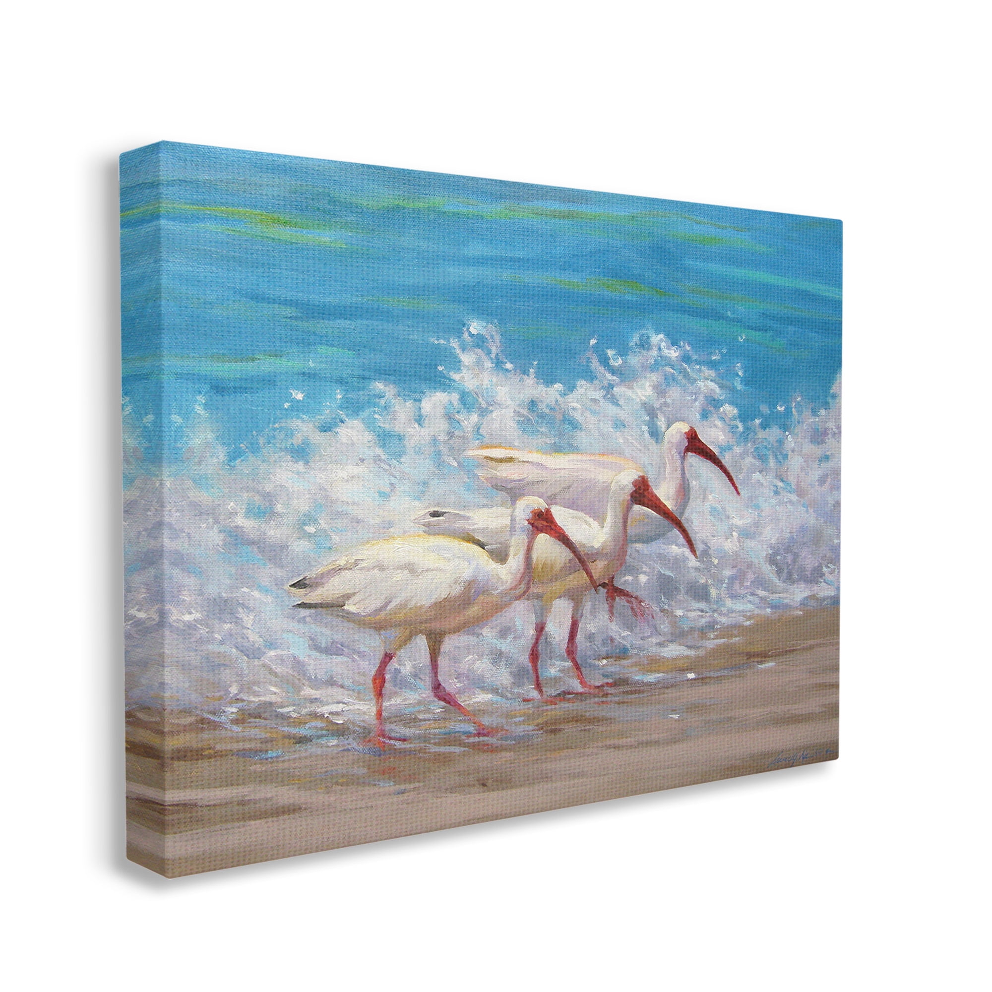 Stupell Industries Splashing Sea Birds Animals & Insects Painting Gallery Wrapped Canvas Art Print Wall Art, 30 x 24