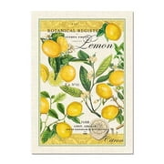 Michel Design Works Lemon Basil Kitchen Towel, Natural Woven Cotton